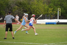 Enlarge photo 147