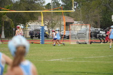 Enlarge photo 170