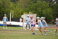 Enlarge photo 248
