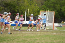 Enlarge photo 314