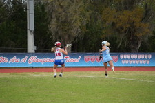 Enlarge photo 521