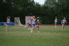 Enlarge photo 131