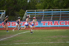Enlarge photo 152