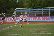 Enlarge photo 153