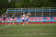 Enlarge photo 155