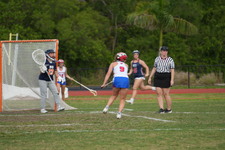 Enlarge photo 237