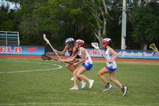 Enlarge photo 239