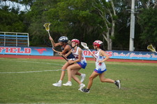 Enlarge photo 241