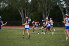 Enlarge photo 244