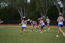 Enlarge photo 245