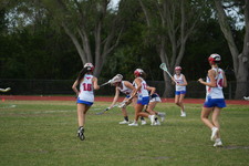 Enlarge photo 248