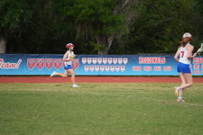 Enlarge photo 272