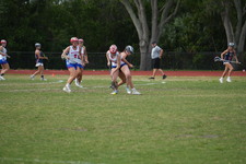 Enlarge photo 338