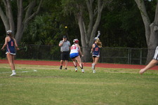 Enlarge photo 392