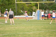 Enlarge photo 495