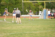 Enlarge photo 498