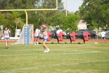 Enlarge photo 509