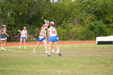 Enlarge photo 519