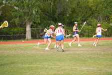 Enlarge photo 526