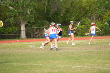Enlarge photo 527