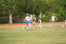 Enlarge photo 528
