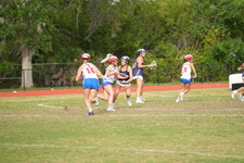 Enlarge photo 529
