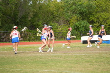 Enlarge photo 533