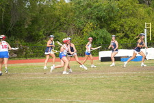 Enlarge photo 534