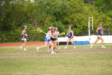 Enlarge photo 537