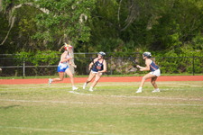 Enlarge photo 582
