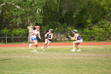 Enlarge photo 584