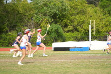 Enlarge photo 595