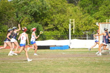 Enlarge photo 597