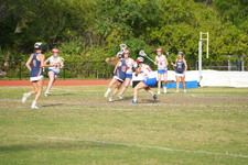 Enlarge photo 1115