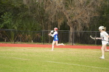 Enlarge photo 67