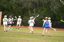 Enlarge photo 106