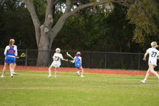 Enlarge photo 187