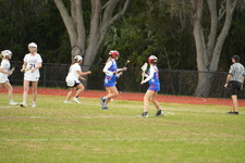 Enlarge photo 213
