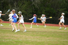 Enlarge photo 231