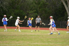 Enlarge photo 239