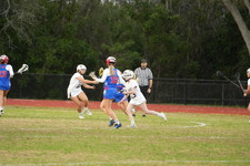 Enlarge photo 245