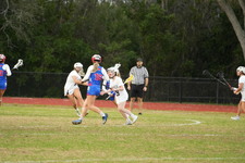 Enlarge photo 246