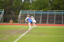 Enlarge photo 291