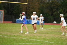 Enlarge photo 343
