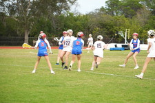 Enlarge photo 423
