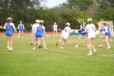 Enlarge photo 426