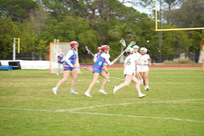 Enlarge photo 433