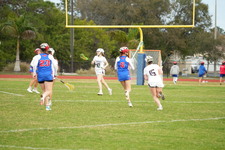 Enlarge photo 435