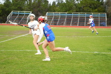 Enlarge photo 446