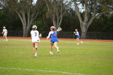 Enlarge photo 466